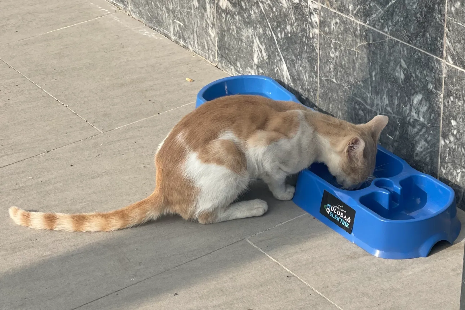 Uludağ Elektrik