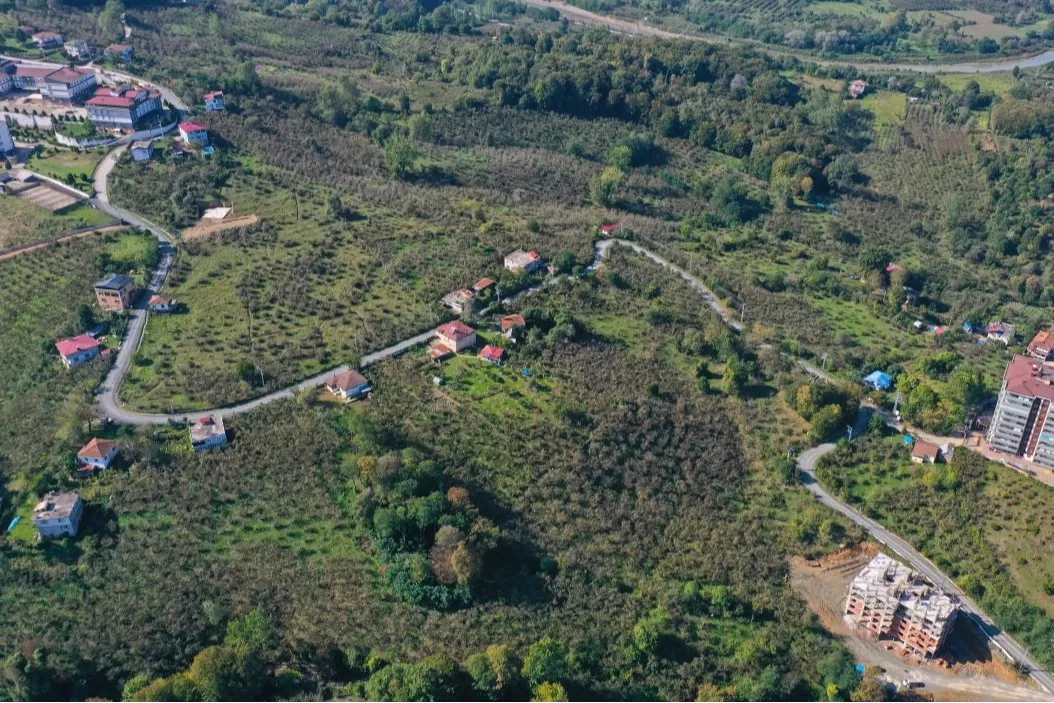 Ordu