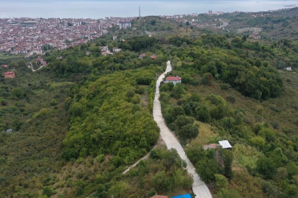 Ordu